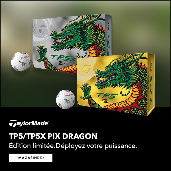 Tp5 Dragon
