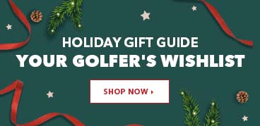 holiday gift guide